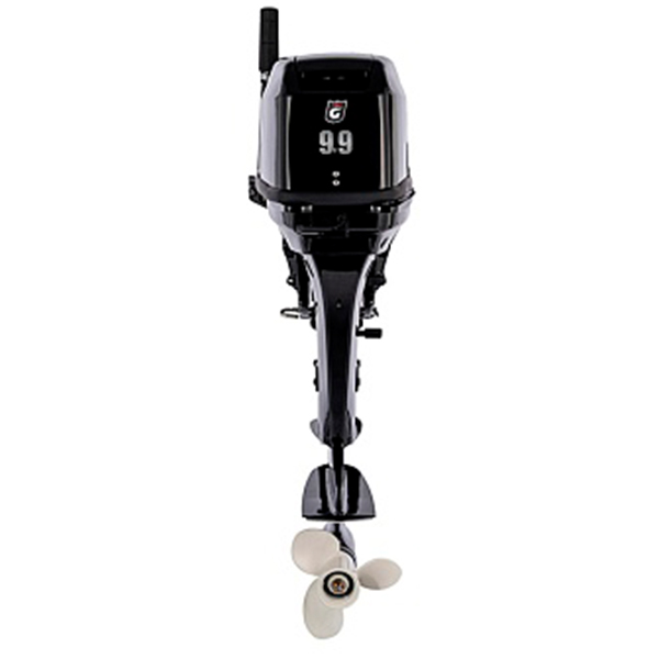 Лодочный мотор GOLFSTREAM T 9.9 BMS USB