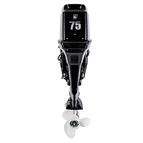 yz0rwt5wat3tzfgvtyze7o39kme2crgp Лодочный мотор GOLFSTREAM T 75 FEX-T